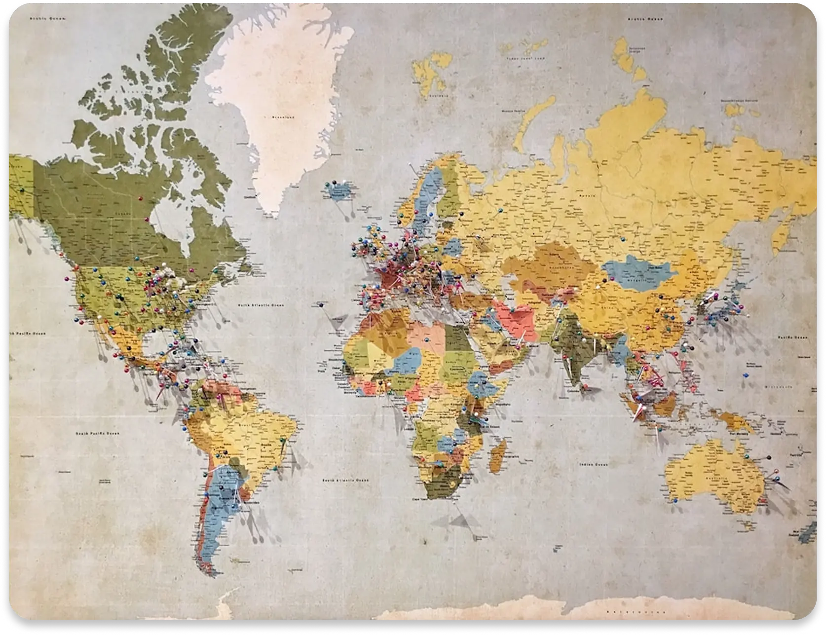 Streamline Multi-Location Operations with Vendor Management Software