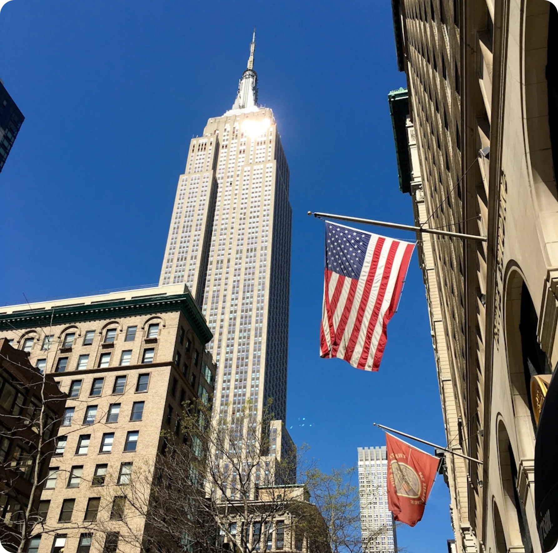 Legitt AI Lite For Startups and Small Businesses